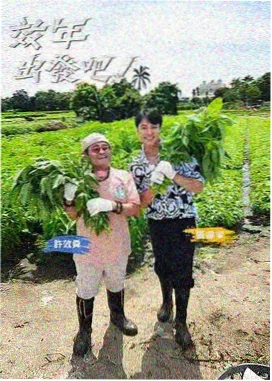 声生不息 音乐综艺 推荐